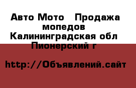 Авто Мото - Продажа мопедов. Калининградская обл.,Пионерский г.